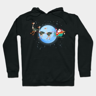 Santa Claus Riding ostrich Hoodie